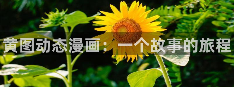 manwa漫蛙漫画：黄图动态漫画：一个故事的旅程