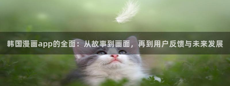 漫蛙书源：韩国漫画app的全面：从故事到画面，再到用户反馈与未来发展