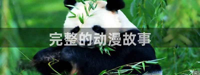 怎么下载正版漫蛙：完整的动漫故事