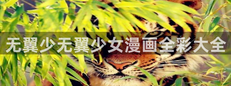 漫蛙在哪里下载：无翼少无翼少女漫画全彩大全
