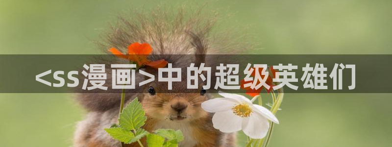 漫蛙走失页怎么使用：<ss漫画>中的超级英雄们