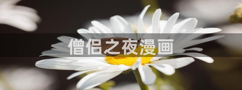 漫蛙免费下载安装：僧侣之夜漫画