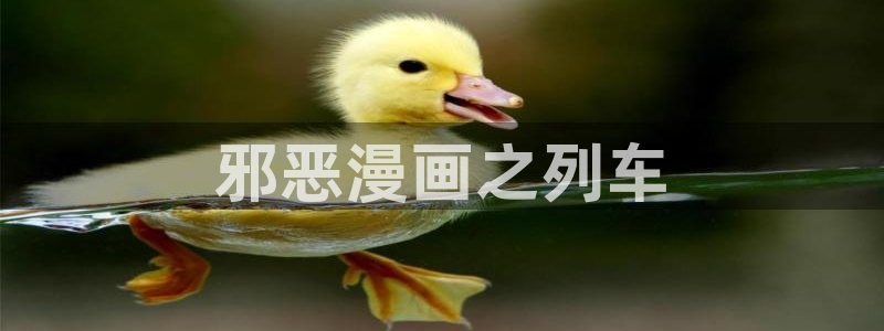 漫蛙漫画(网页入口)免费正版：邪恶漫画之列车