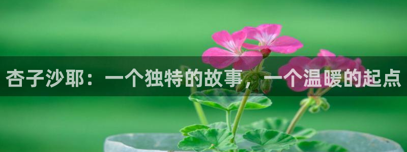 漫蛙星：杏子沙耶：一个独特的故事，一个温暖的起点