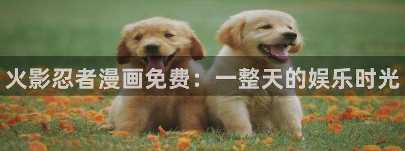 漫蛙官网网址入口：火影忍者漫画免费：一整天的娱乐时光