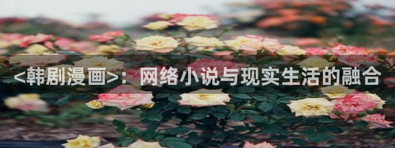 漫蛙免费观看漫画大全：<韩剧漫画>：网络小说与现实生活的融合