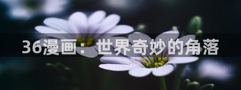 漫蛙魔咒漫画：36漫画：世界奇妙的角落